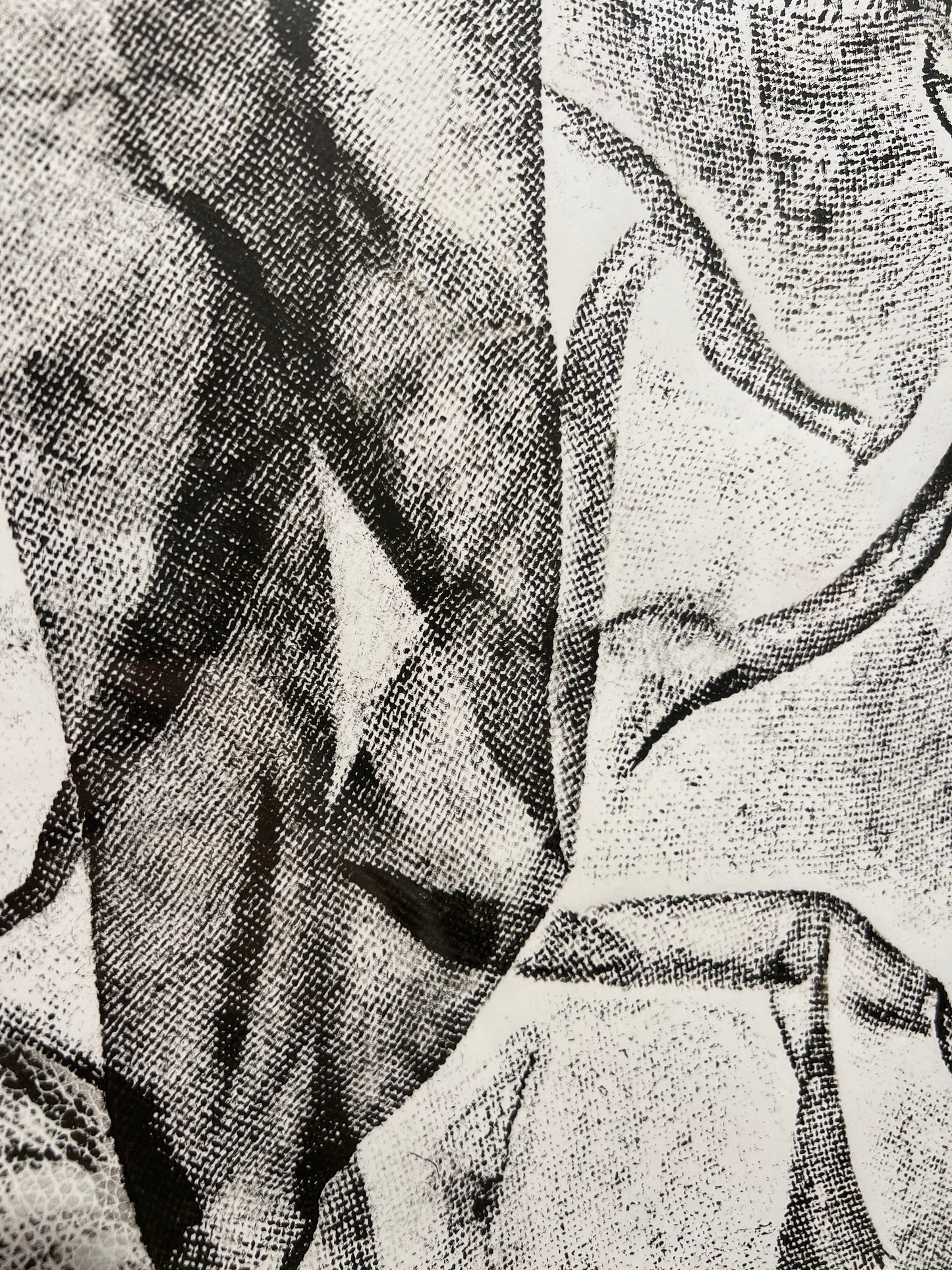 stampa d'artista Silvia Salice